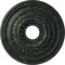 Ekena Millwork Orleans Medallion (Canopies up to 4 5/8"), 17 5/8"OD X 3 5/8"ID X 1 7/8"P, Painted Turtle Crackle CM17OLPTC - alternate 1